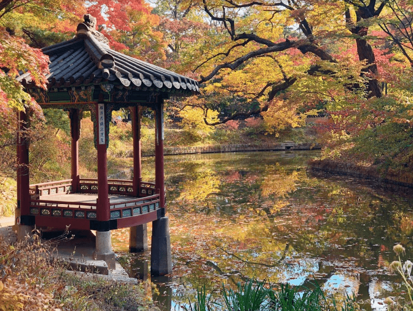 2024 창덕궁 야간개장 달빛기행 예매, 후원(비원) 예약