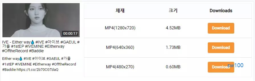 트위터 영상 다운로드 상세 과정 소개 4