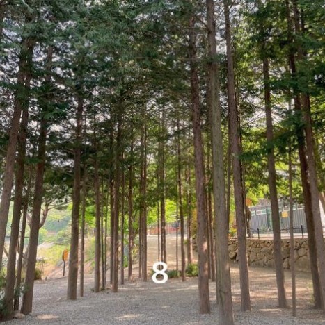 경호강_캠핑장_사이트_B8