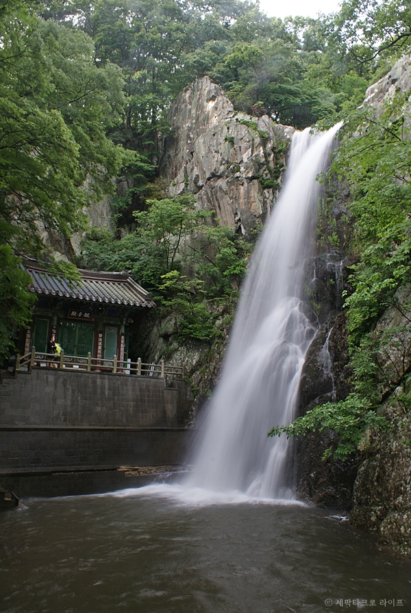홍룡폭포