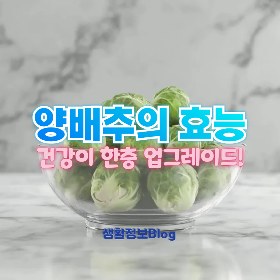 양배추의 효능
