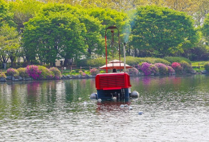 고양국제꽃박람회