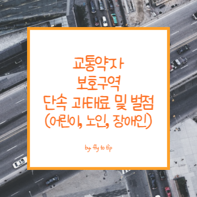 교통약자 보호구역 단속 과태료 및 벌점