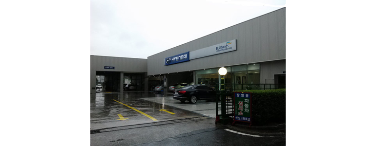 고양 일산동구 블루핸즈