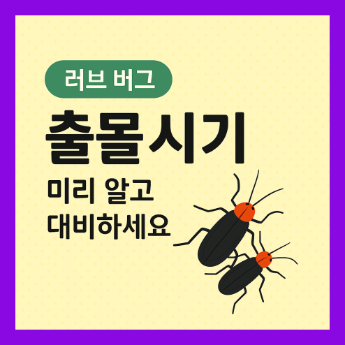 러브 버그 출몰시기 미리 알고 대비하기