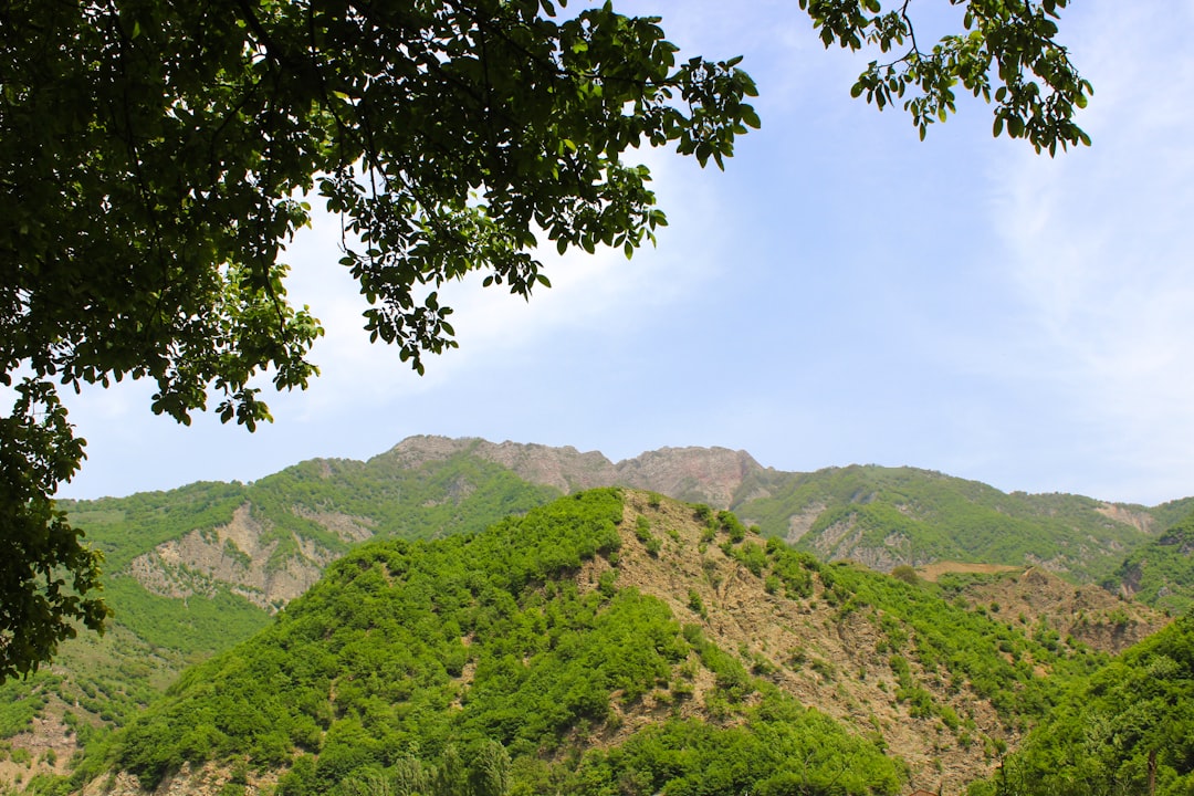 Nogodan