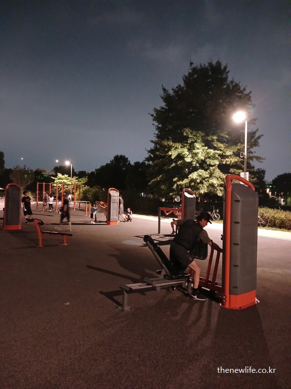 한강공원 야간 운동 기구에서 하체 근력 운동을 하는 사람들