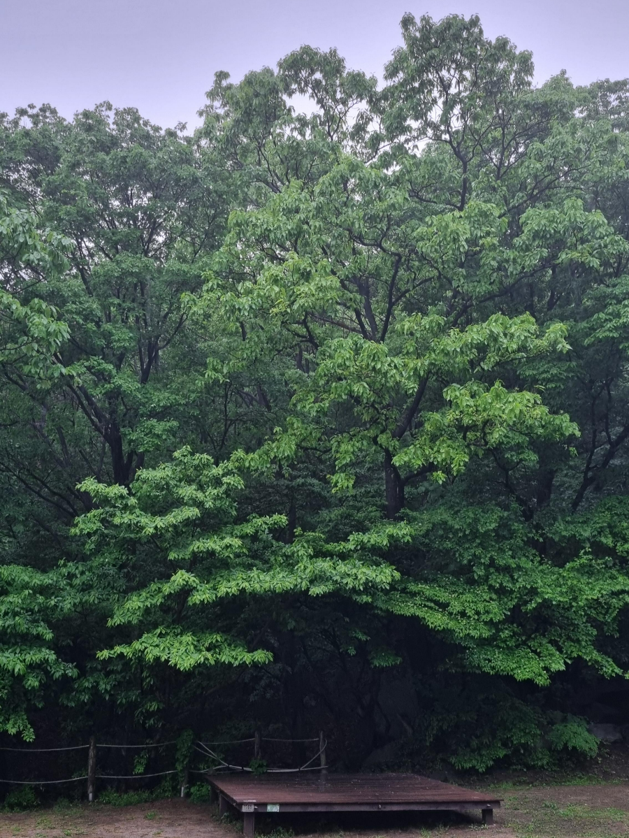 비오는 함허동천