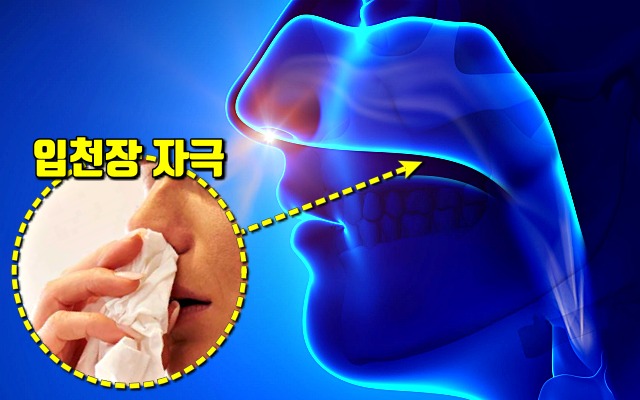 뜨거운 음식 먹을때 콧물 나는 이유,팁줌