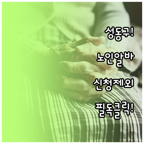 성동구 노인 일자리 신청 제외 대상 ..