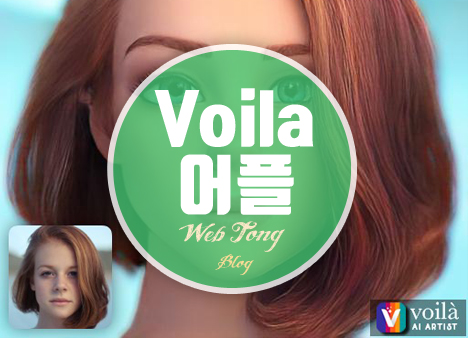 Voila 어플