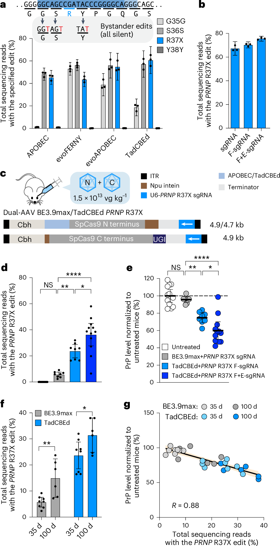 베이스 편집 기술이란 무엇인가?