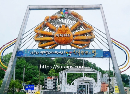 강구항 대게 영덕 맛집 청담대게 내돈내산 직접 후기