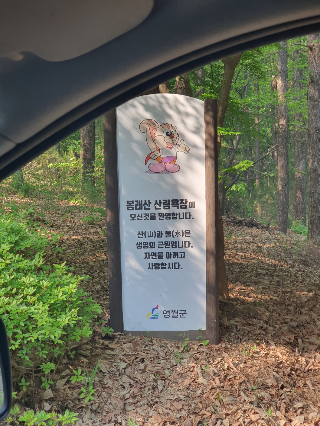 봉래산산림욕장