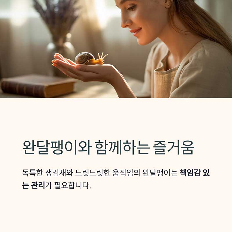 완달팽이 키우기의 매력과 책임감