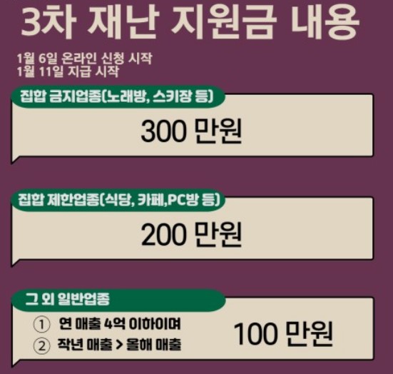3차재난지원금