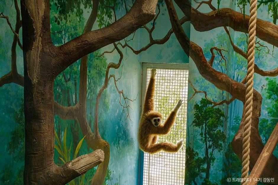 서천 가볼만한곳 베스트10