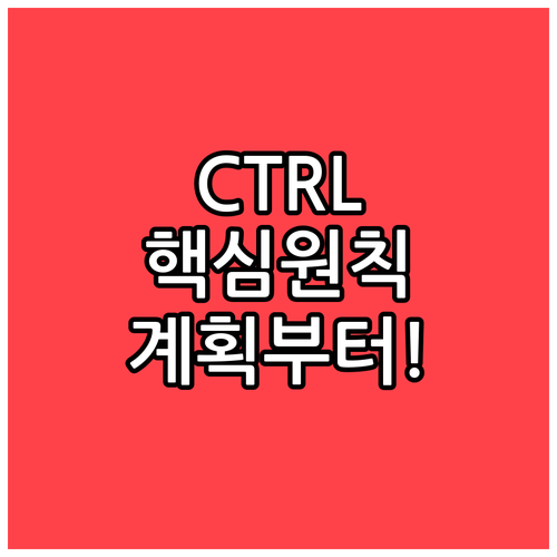 계획과 원칙을 중시하는 CTRL 유형..