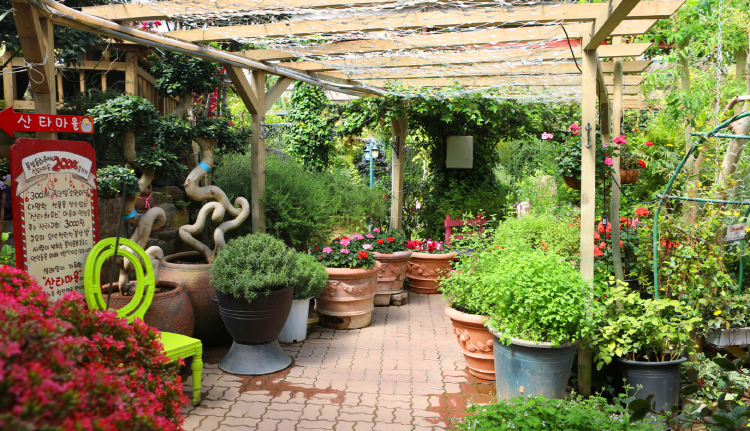 포천 허브아일랜드