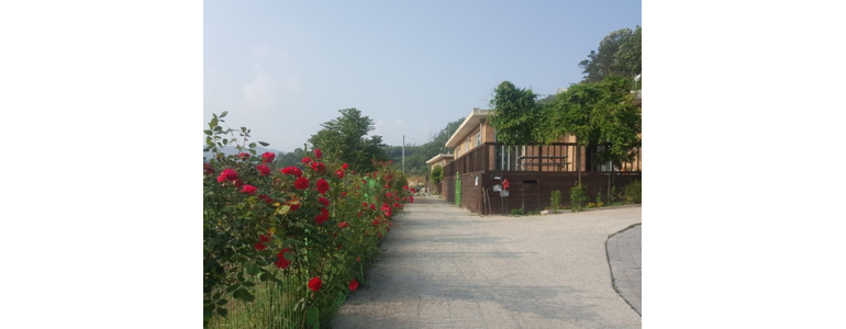 금산군 요양원