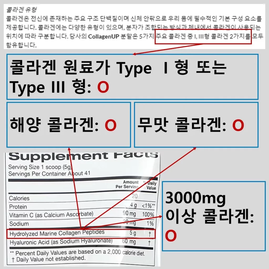 콜라겐 유형