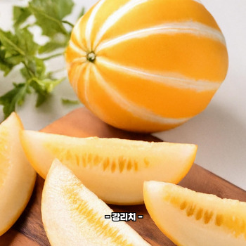 참외껍질 음식물쓰레기 인가요