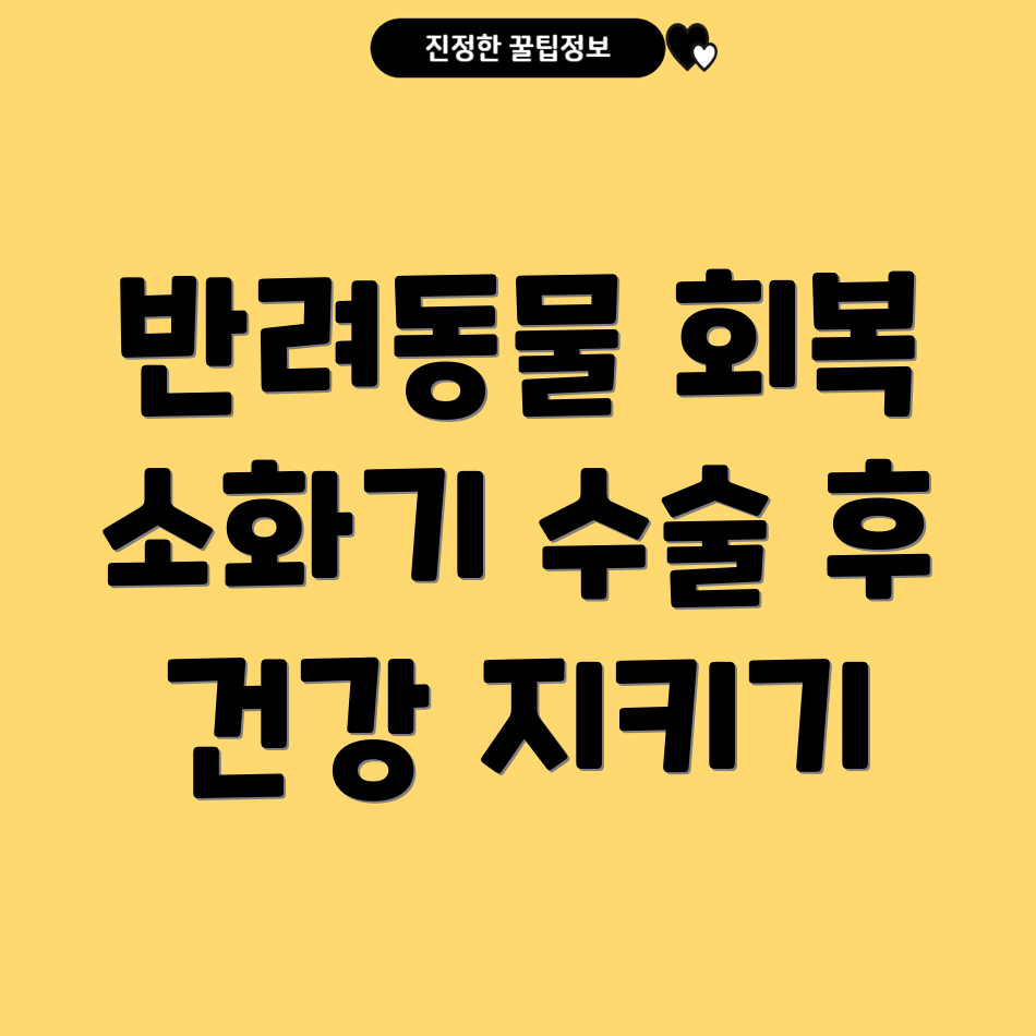 반려동물 소화기 수술 후 관리