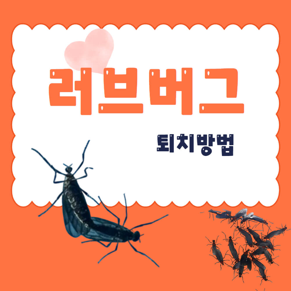 러브버그 퇴치방법