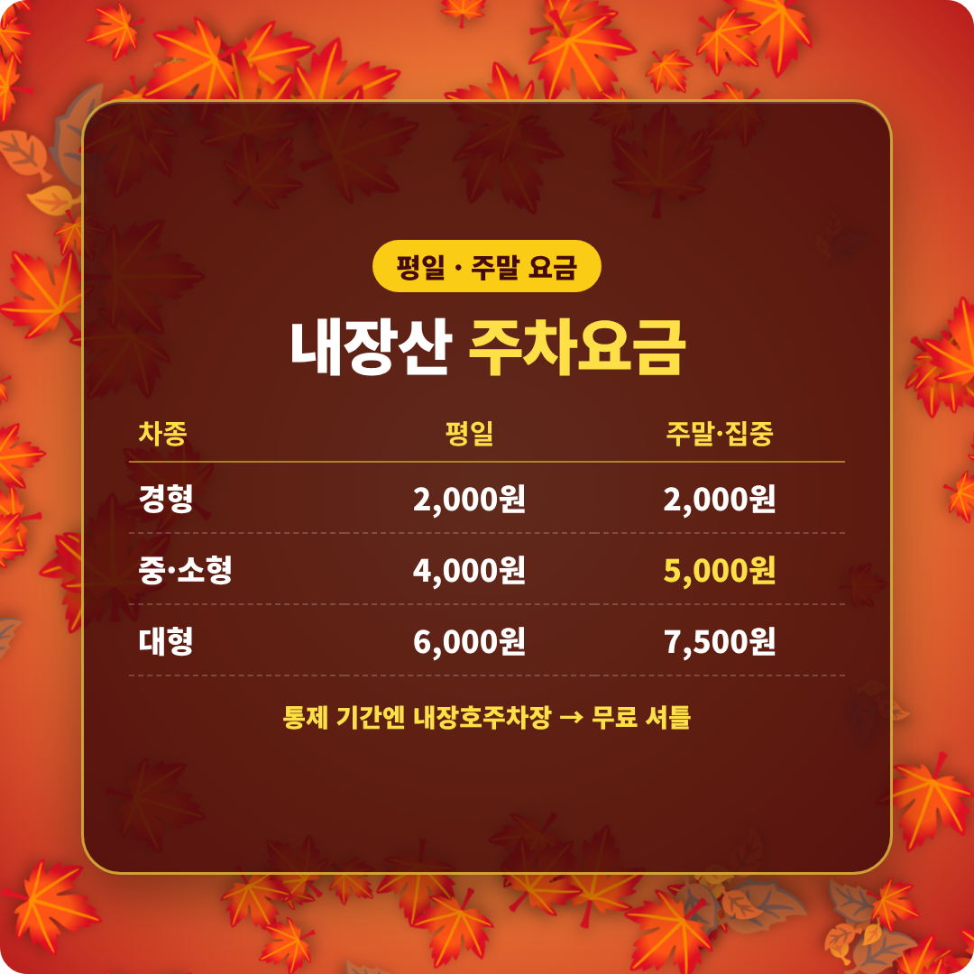 내장산 단풍축제 기간 이미지