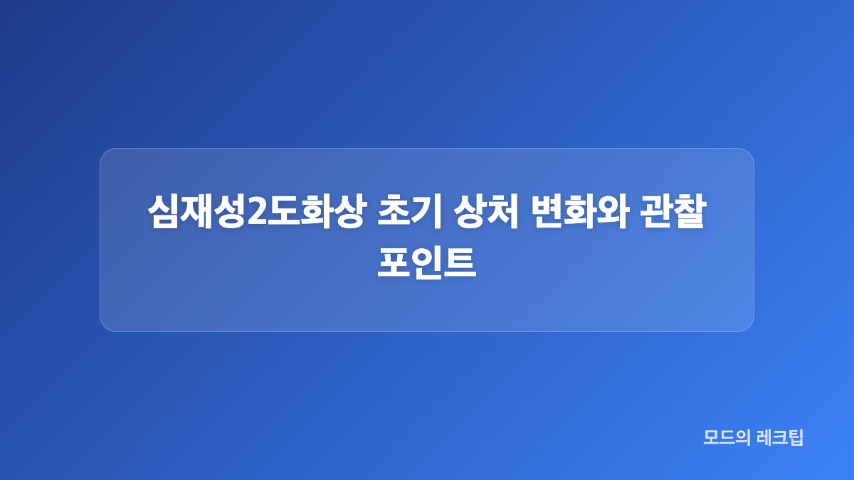 심재성2도화상과 표재성2도화상 차이 비교