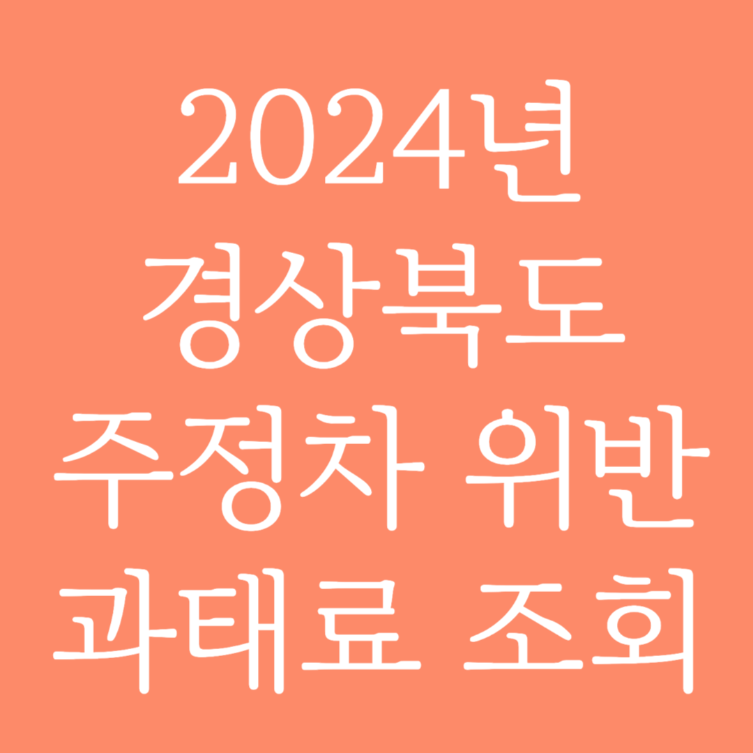 2024년 경상북도 주정차 위반 과태료 조회하기