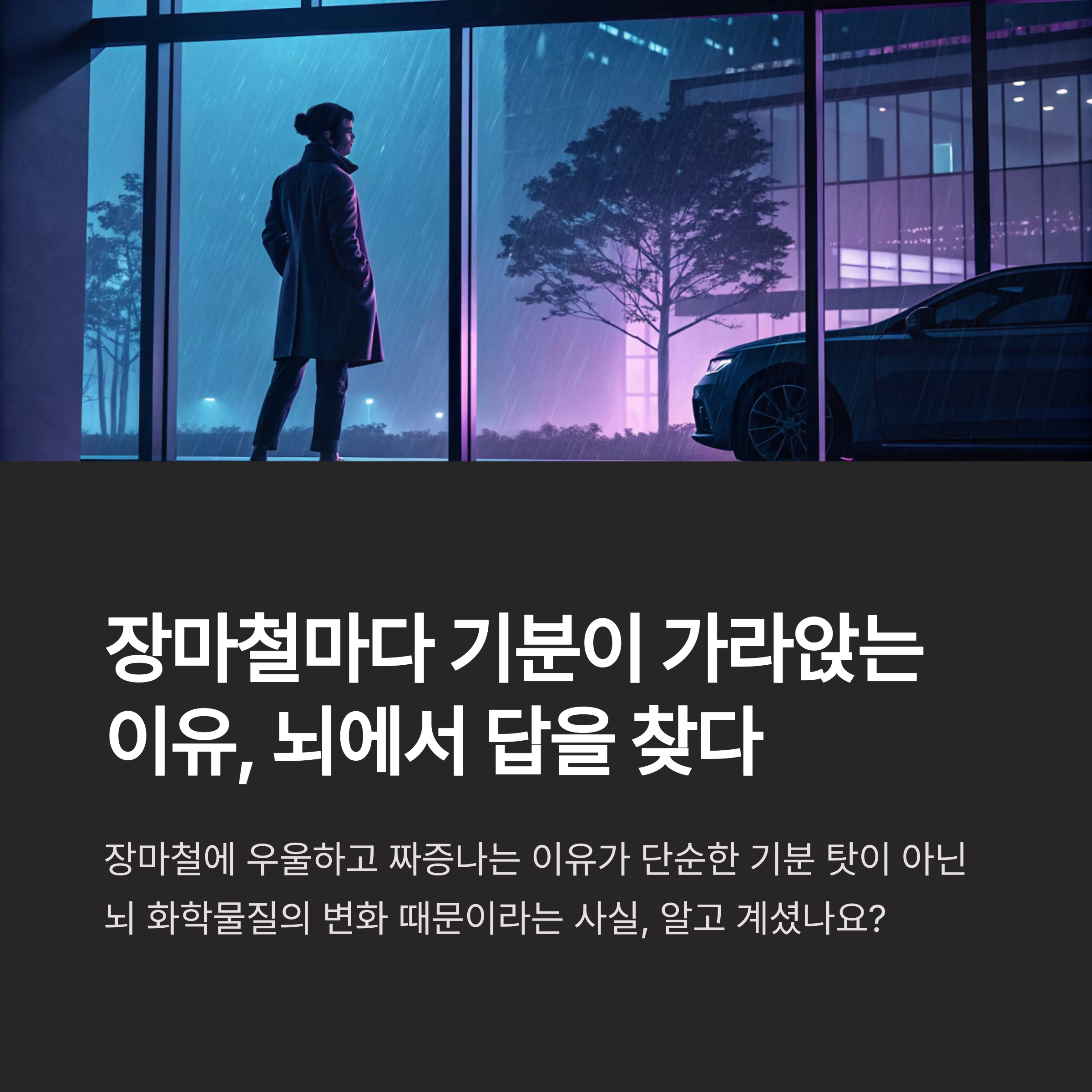 장마철이 우울