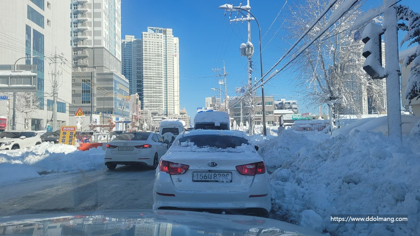 폭설이 내린 속초 거리