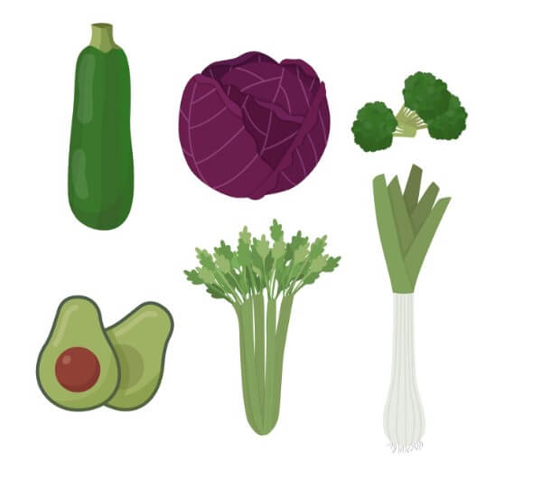 몸에 좋은 녹색 식물들