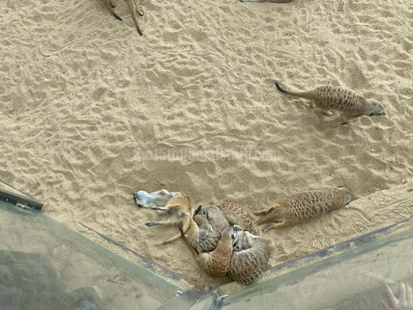 경남 의령 &amp;#39;의령 곤충생태학습관&amp;#39; (1층 &amp;#39;사막관&amp;#39;&amp;#44; &amp;#39;열대관&amp;#39;)