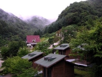 국립 자연휴양림 예약, 왜 나는 안 되고 남들만 될까?