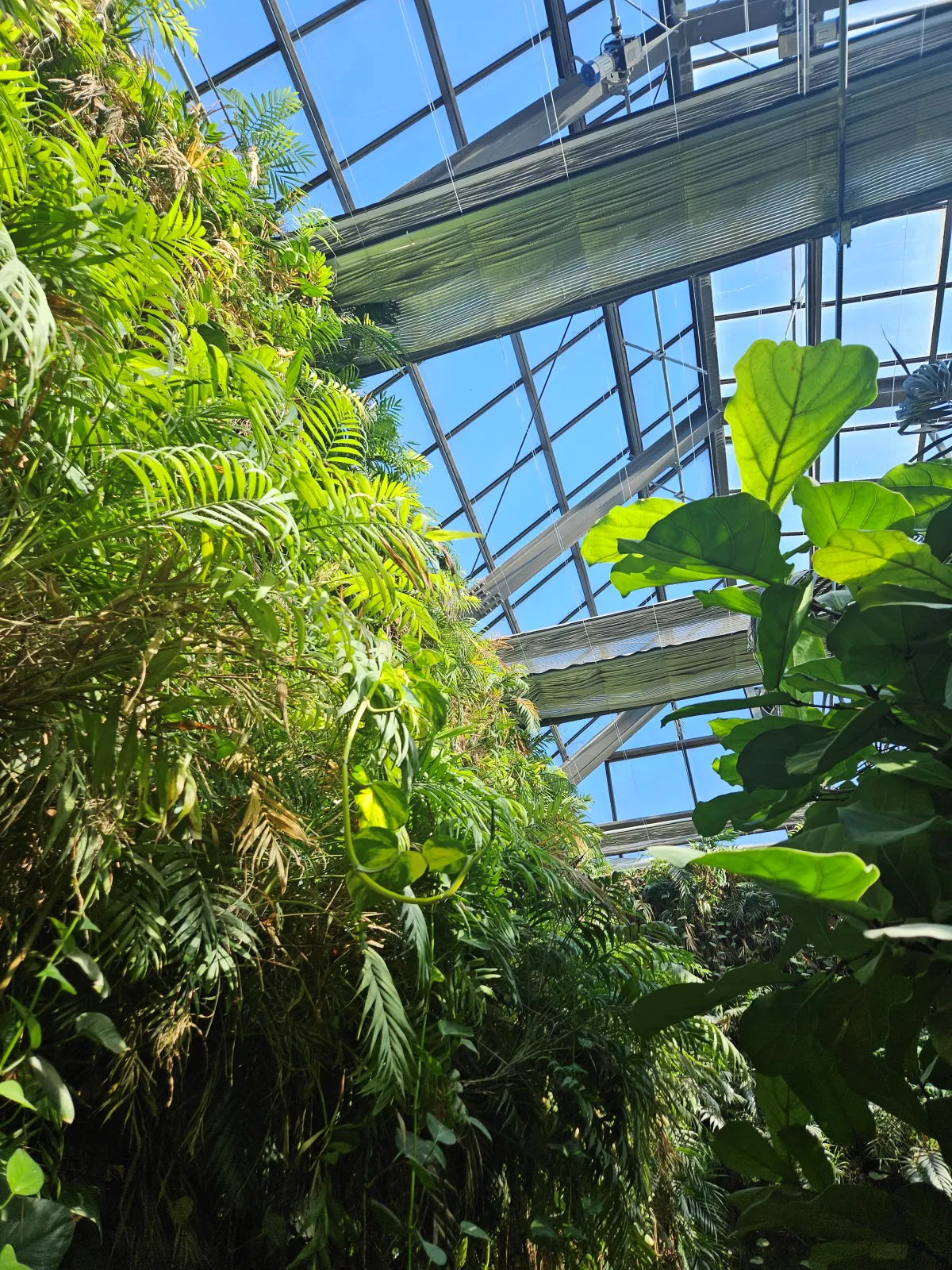 식물원-천장의-모습