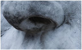 콧속이 건조할 때