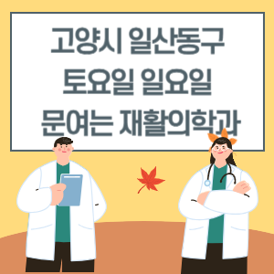 고양시 일산동구 토요일 일요일 재활의학과 진료 문여는 병원 리스트