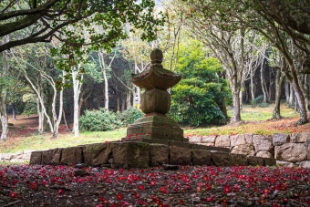 6시 내고향 강진맛집 석문정
