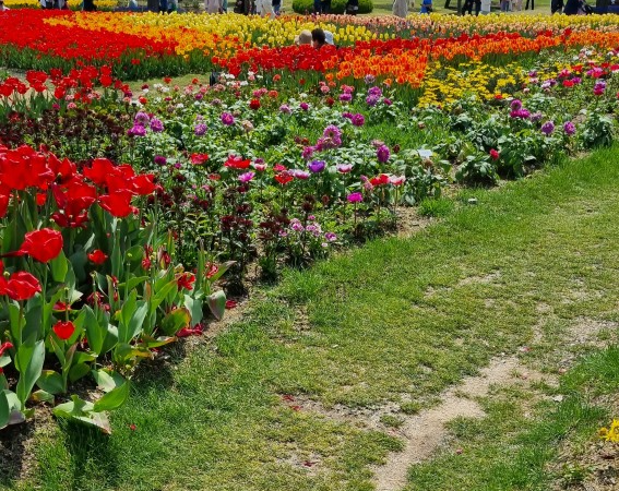 순천만국가정원 4월 튤립축제 포토존