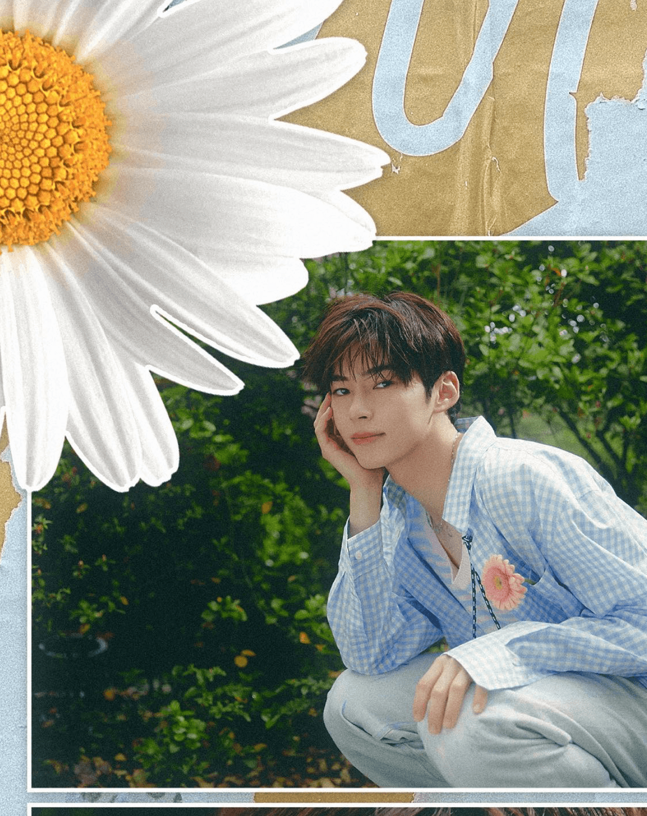 성한빈 엠씨 월드 오브 스트릿 우먼 파이터