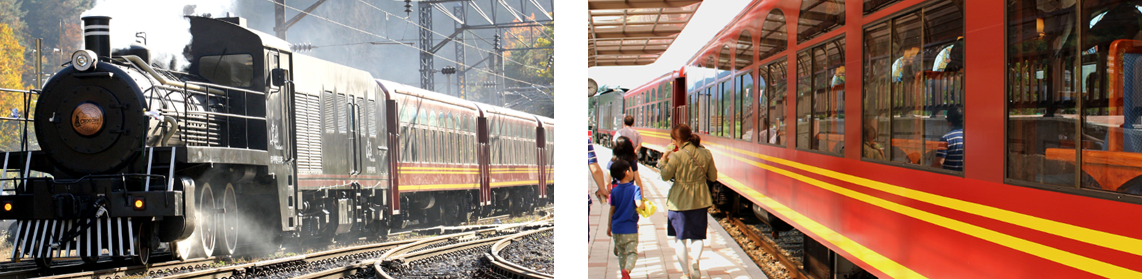 하이원추추파크 스위치백트레인 (출처 : 하이원추추파크)