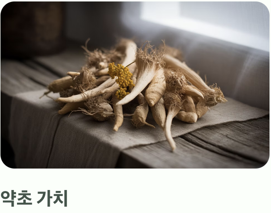 '나물'보다는 '약초'에 가까운 쓰임새