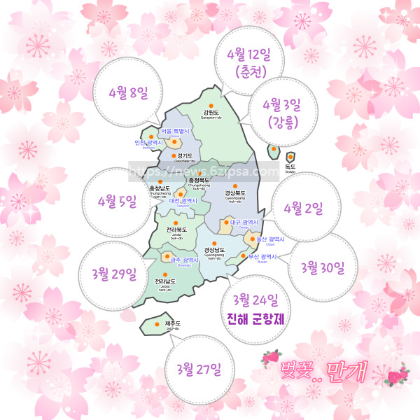전국 벚꽃 만개 시기 이미지