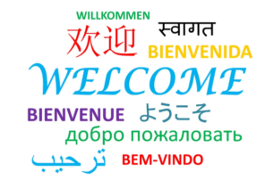 A variety of languages