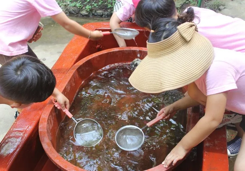 제주도-아이들과-가볼만한-놀거리-곤충체험-하는-아이들