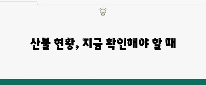 2024 산불지도 최신 업데이트
