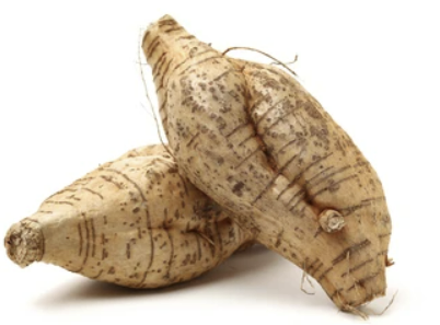 칡의 효능 부작용 섭취방법 칡효소 만드는법 총정리