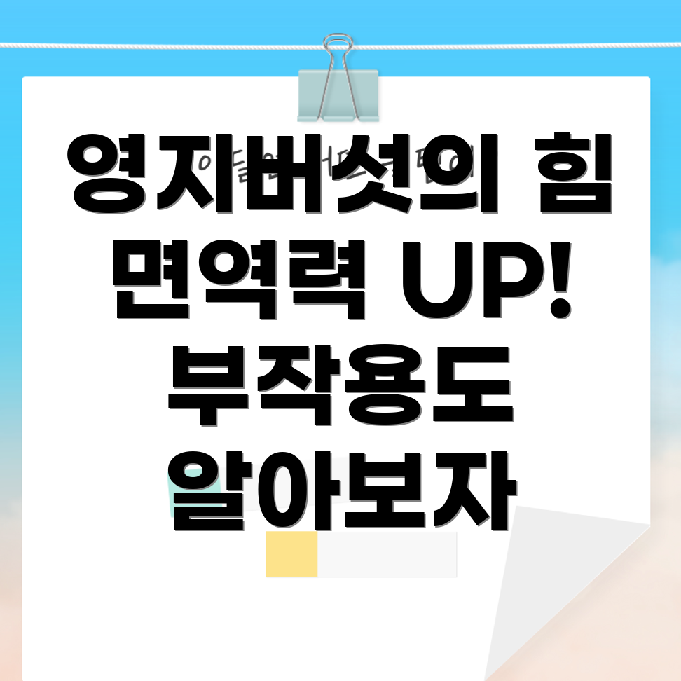영지버섯